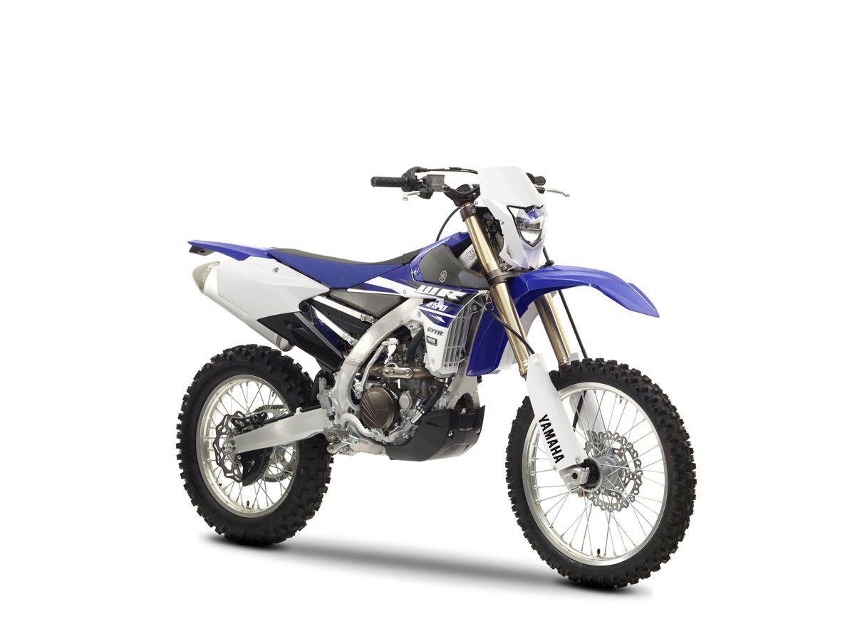 YamWR250C