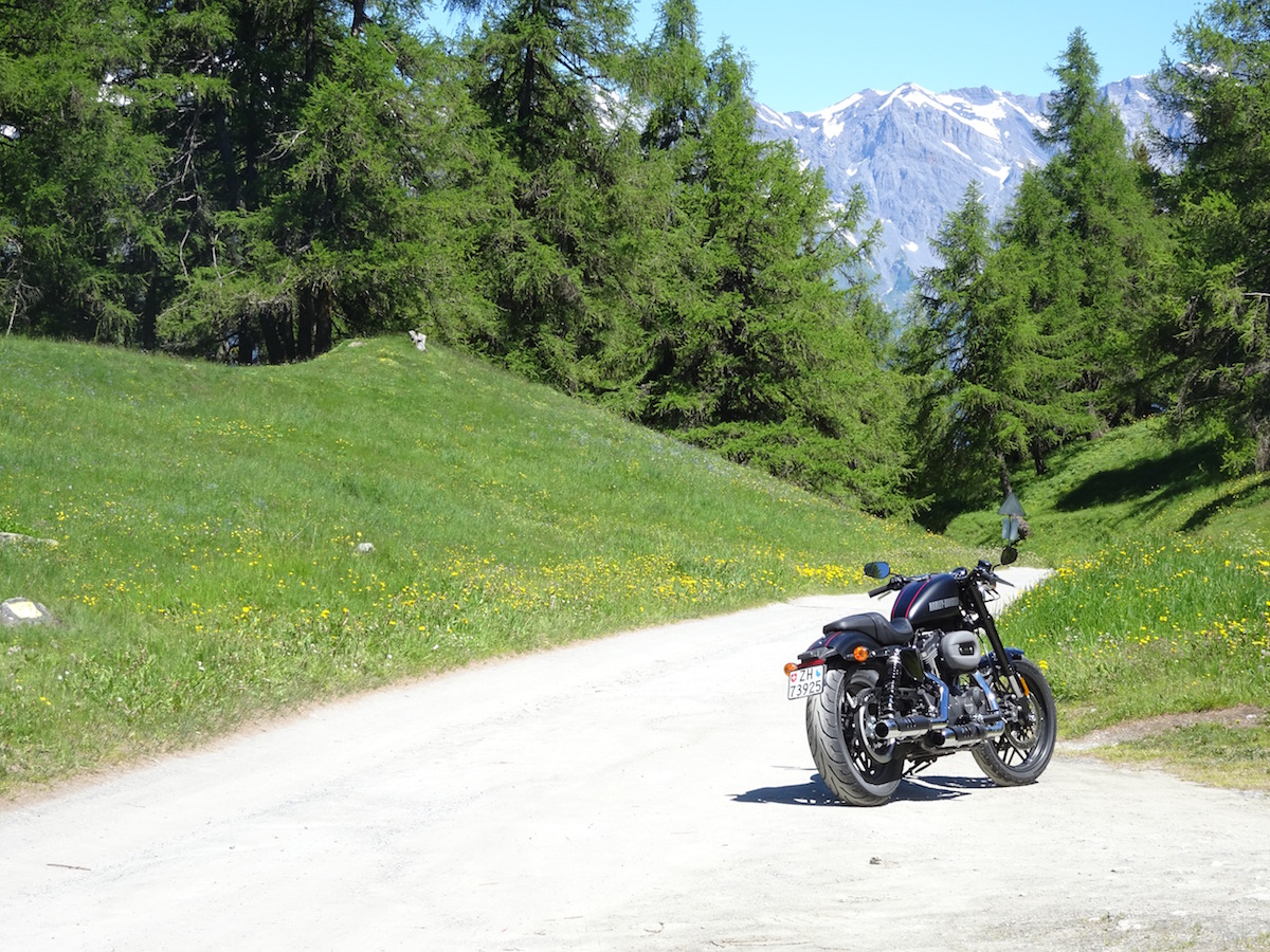 Verbier, Harley, Roadster
