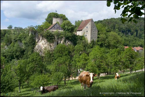 Château de Pleujouse