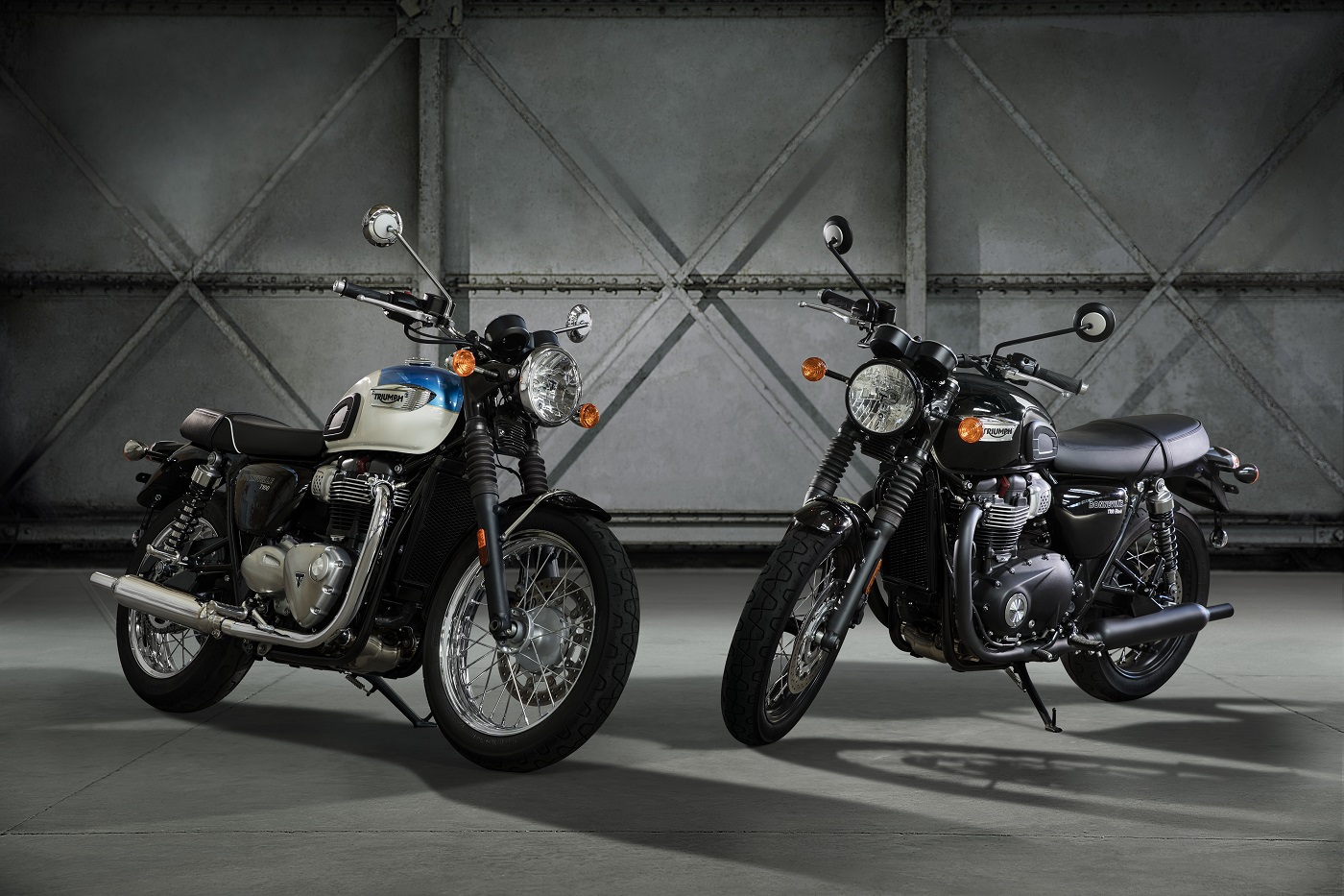 Triumph s'allie, T 100
