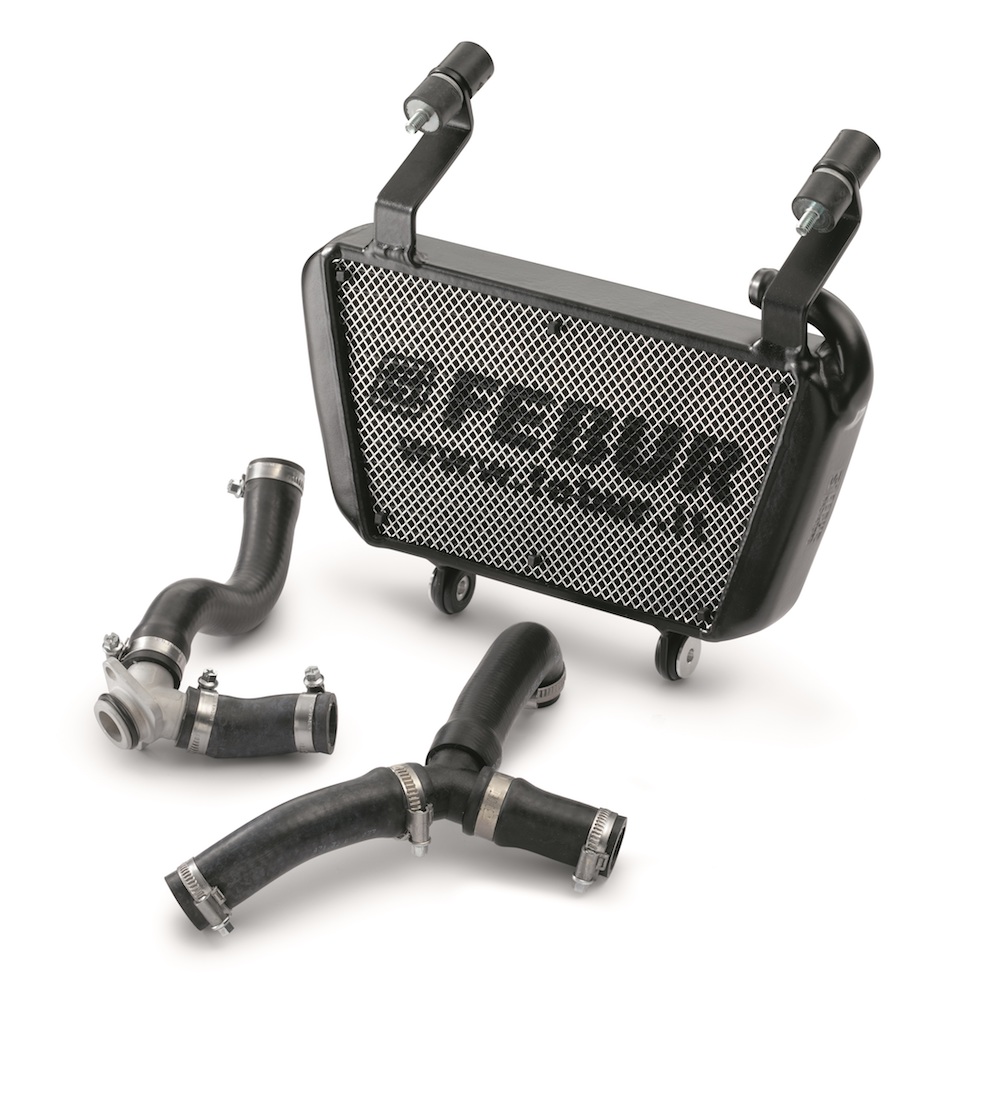 petite sportive, la RC 390