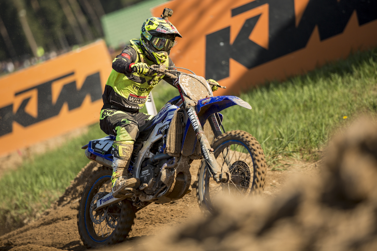 Herlings et Olsen
