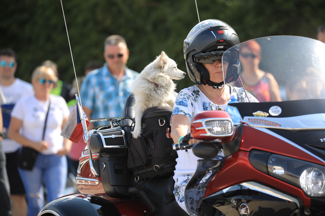 fans européens de Gold Wing