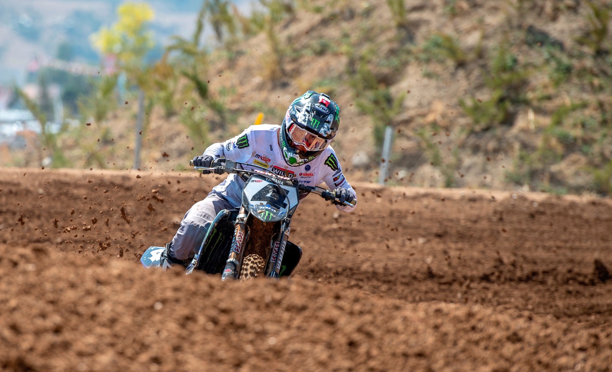 Arnaud Tonus