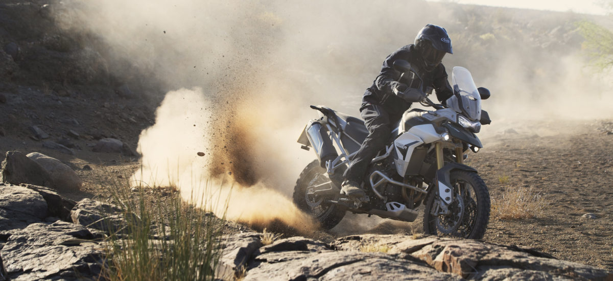 La svelte Tiger 900 remplace la Triumph Tiger 800