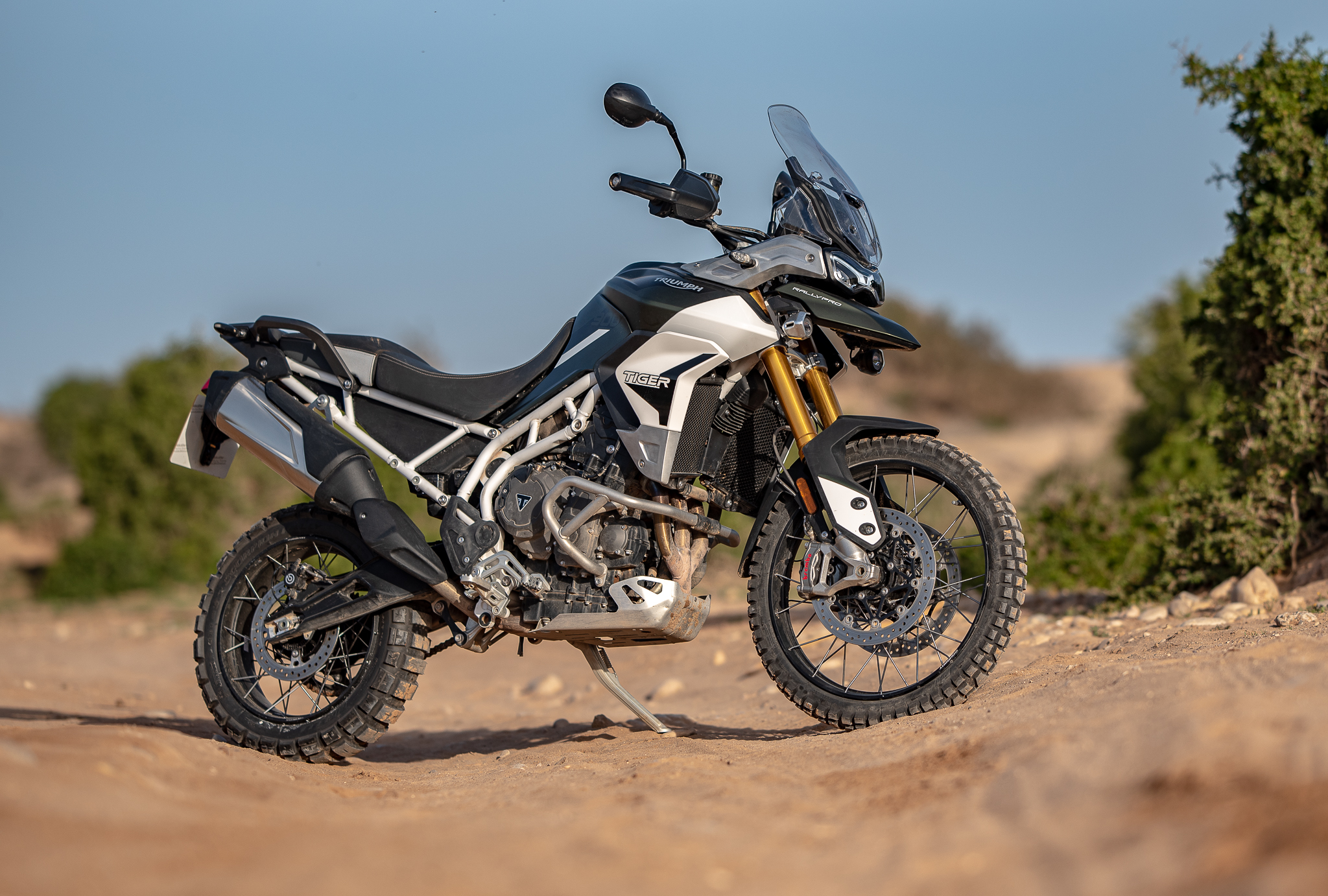 Triumph Tiger 900 Actumoto.ch Mathias Deshusses