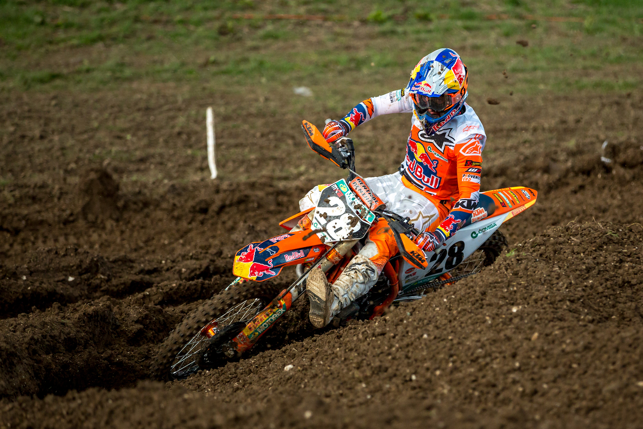 Herlings "the Bullet", Tom Vialle