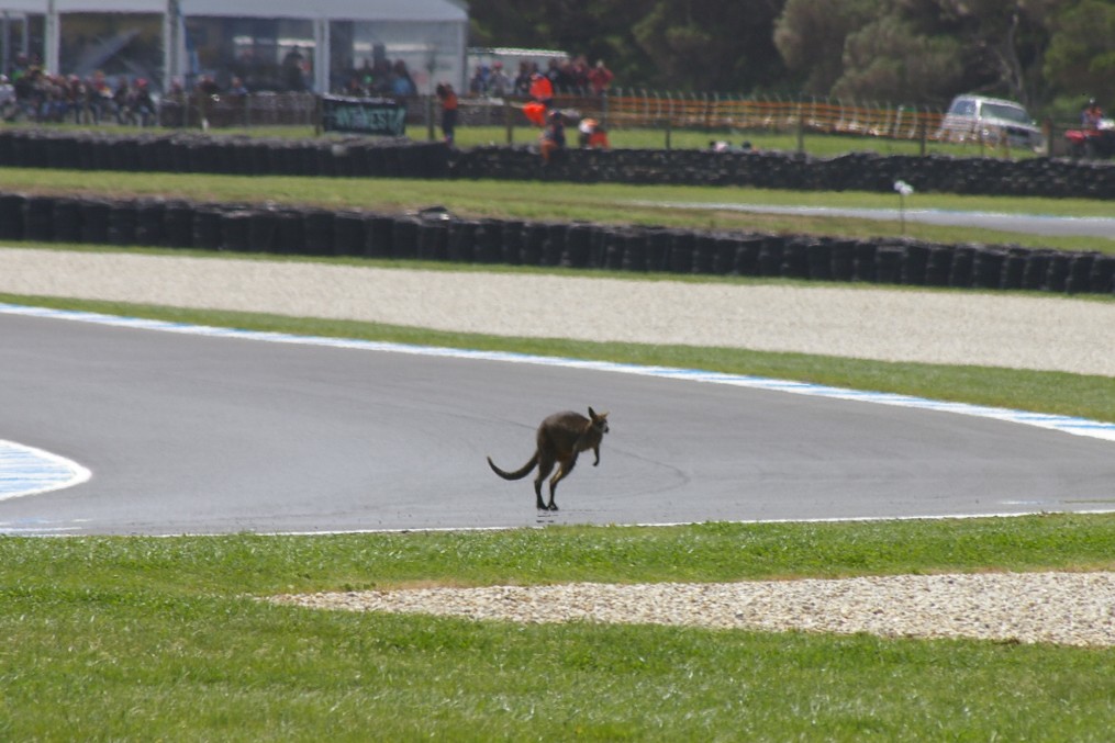 MotoGP Phillip Island à Silverstone