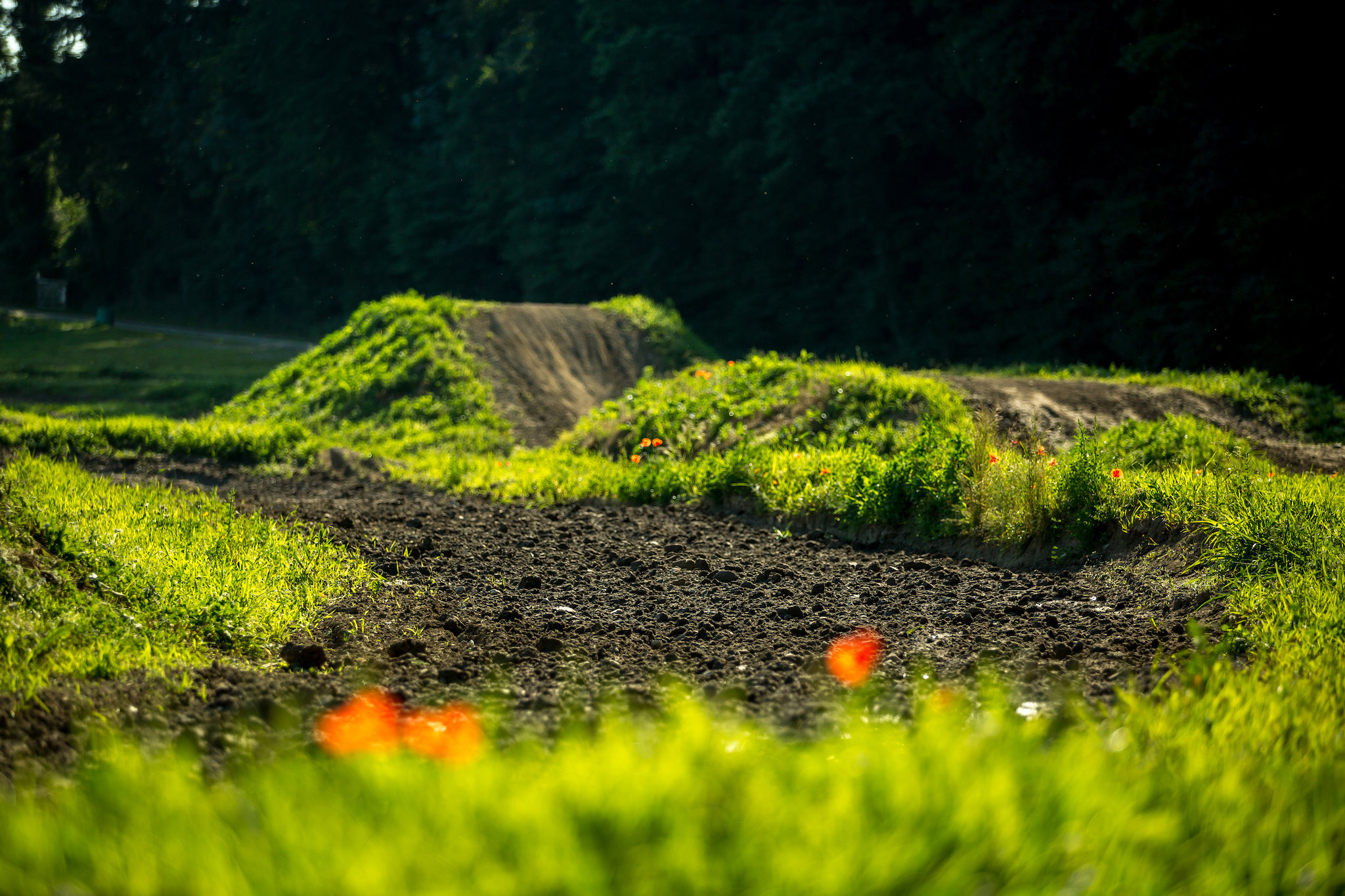 Motorex piste Broye