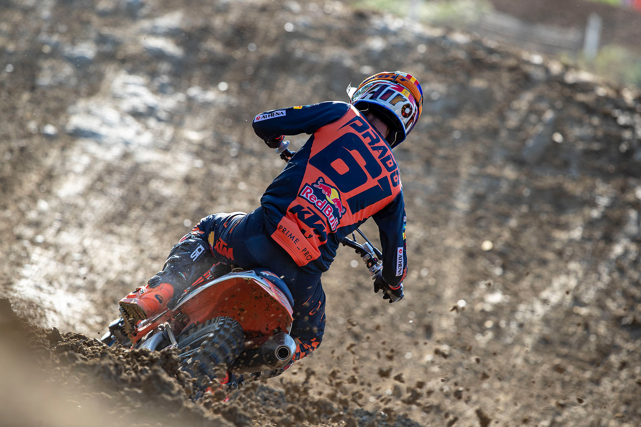 Jorge Prado