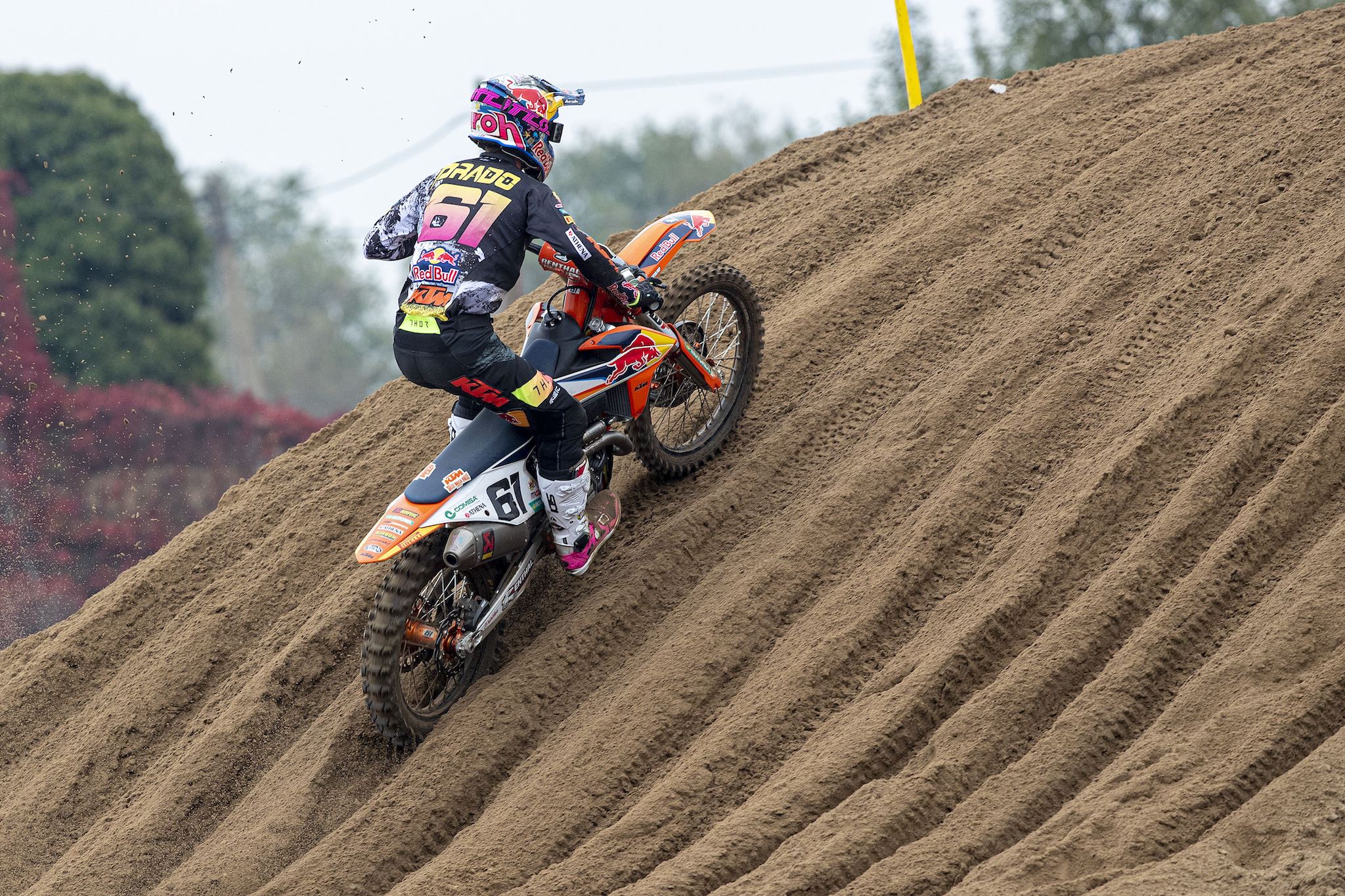 Jorge Prado