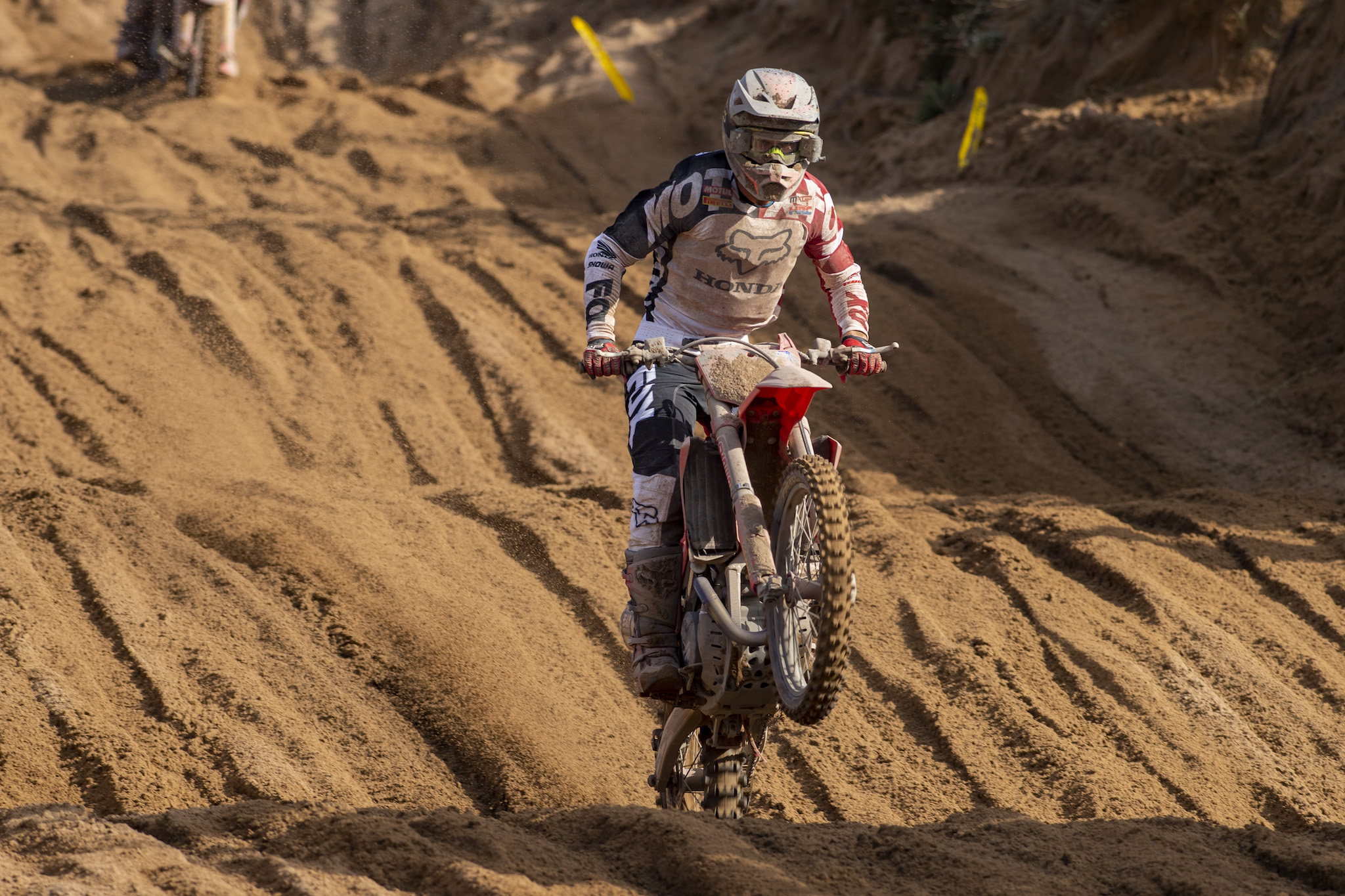 Tim Gajser