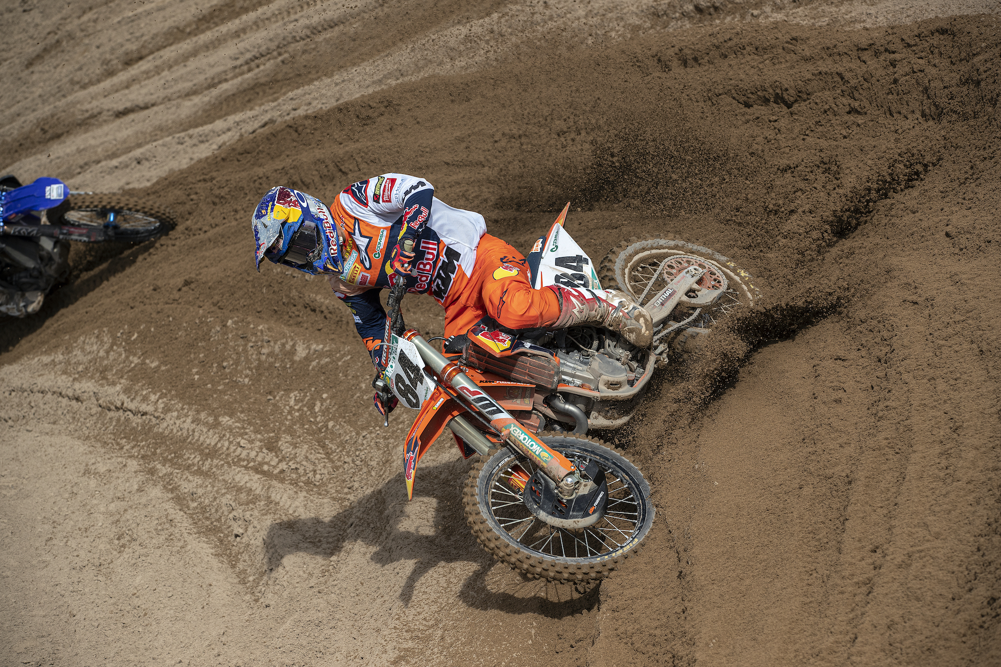 Herlings Riola Sardo