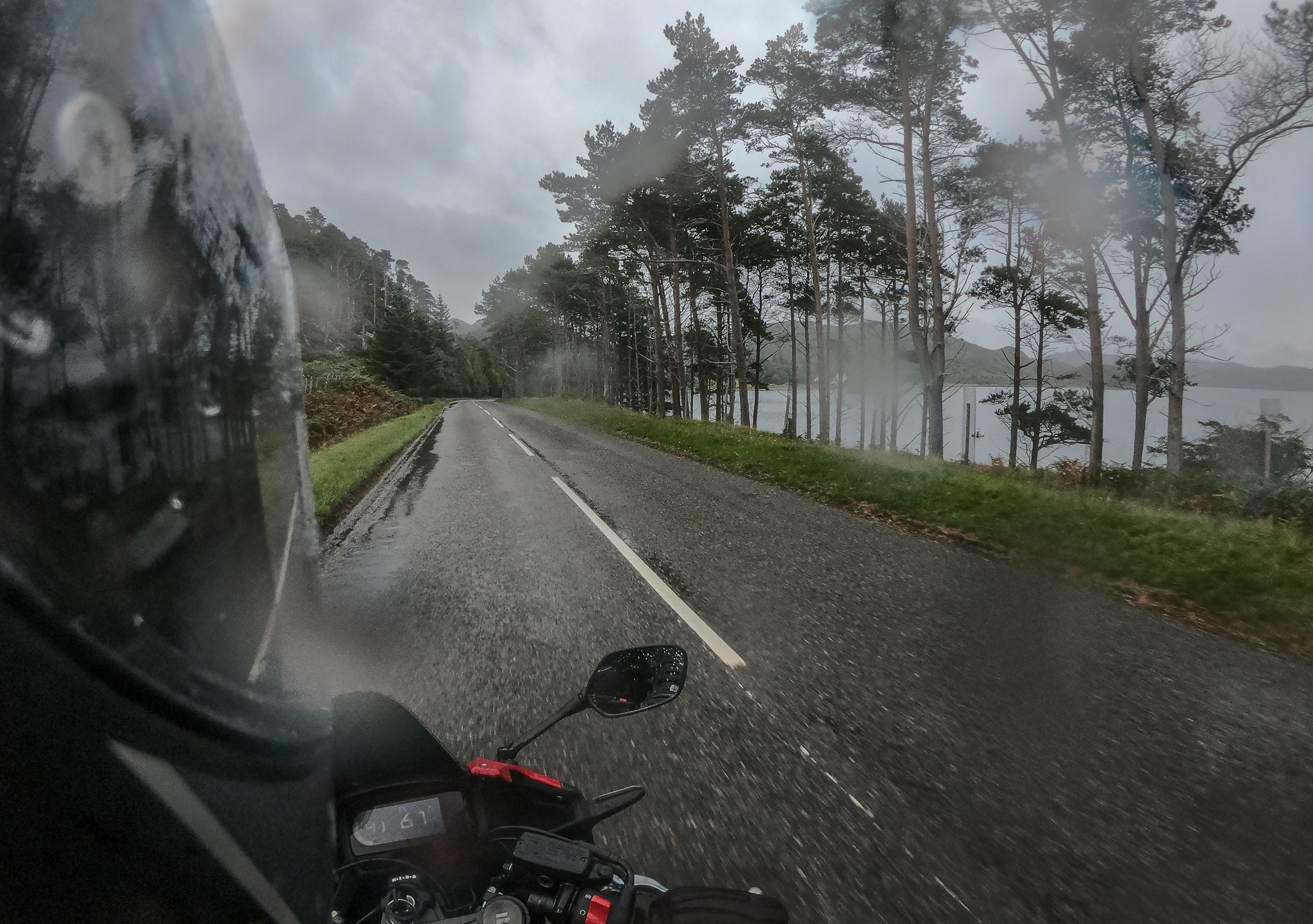 Ecosse