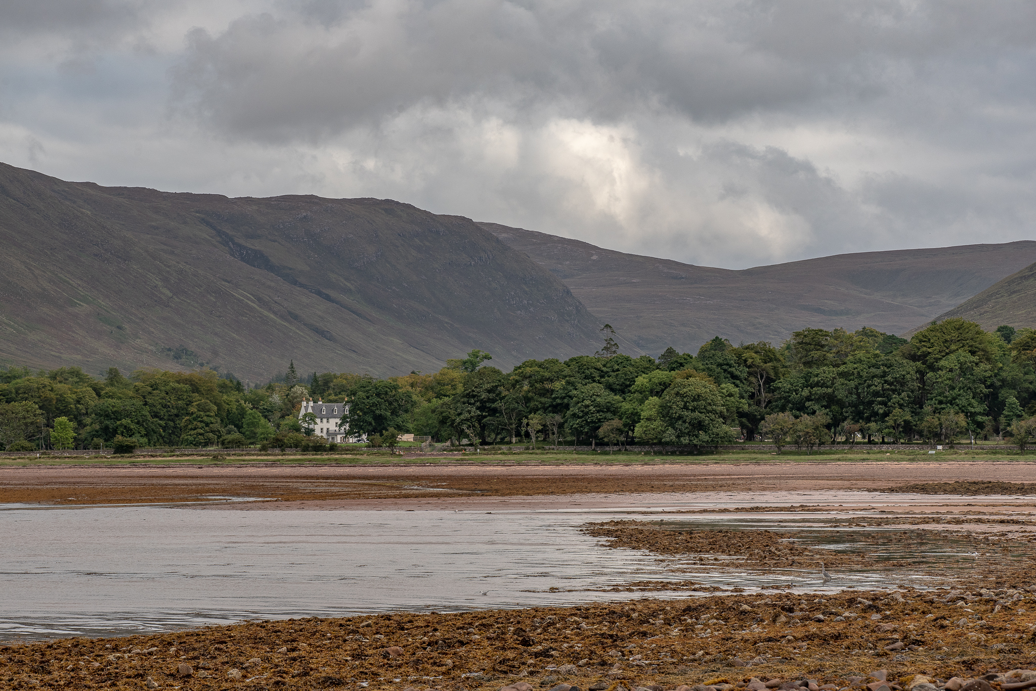 Ecosse