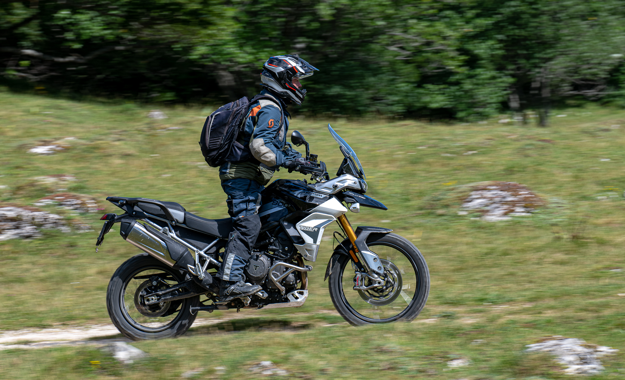 Tiger 900