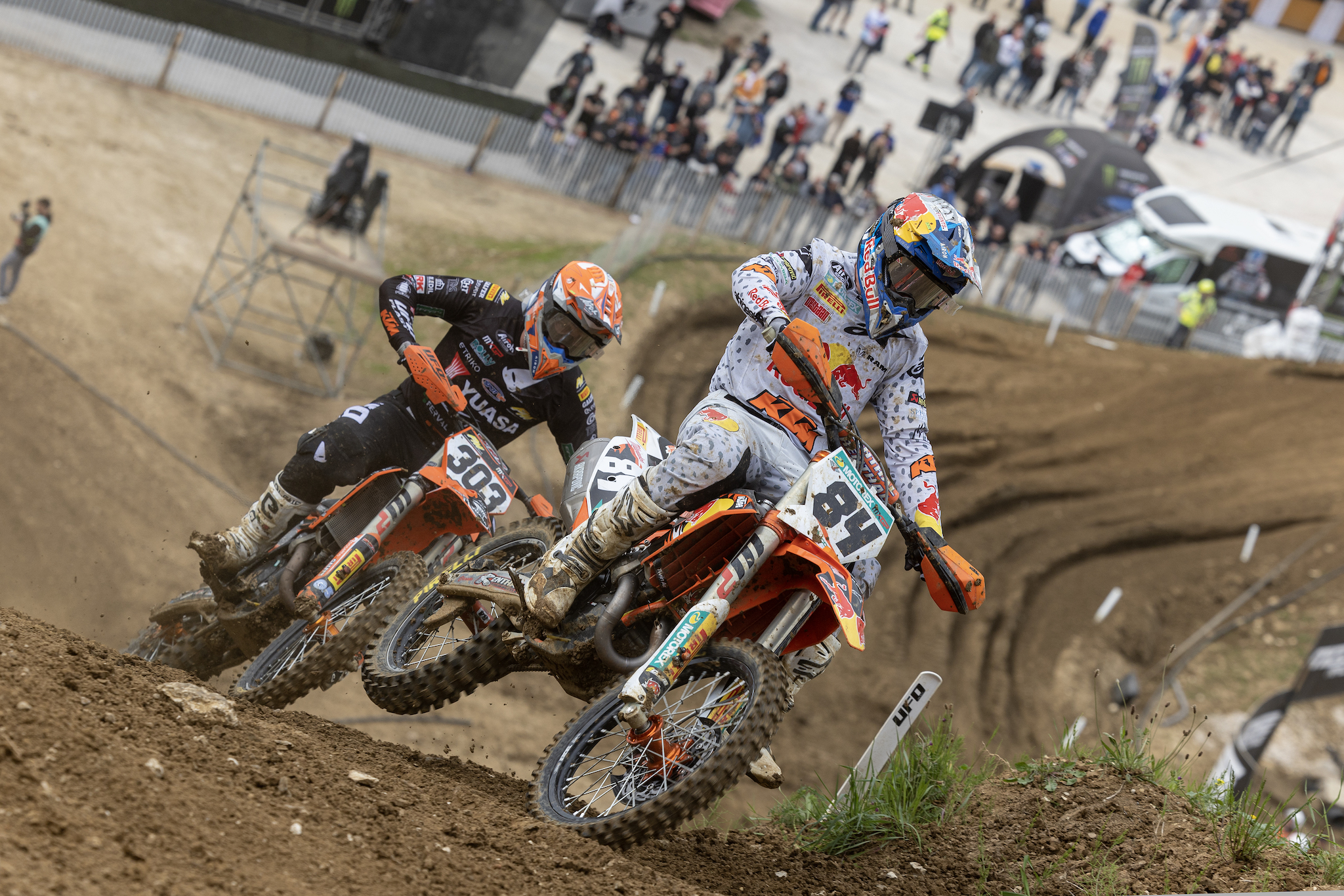 Herlings France