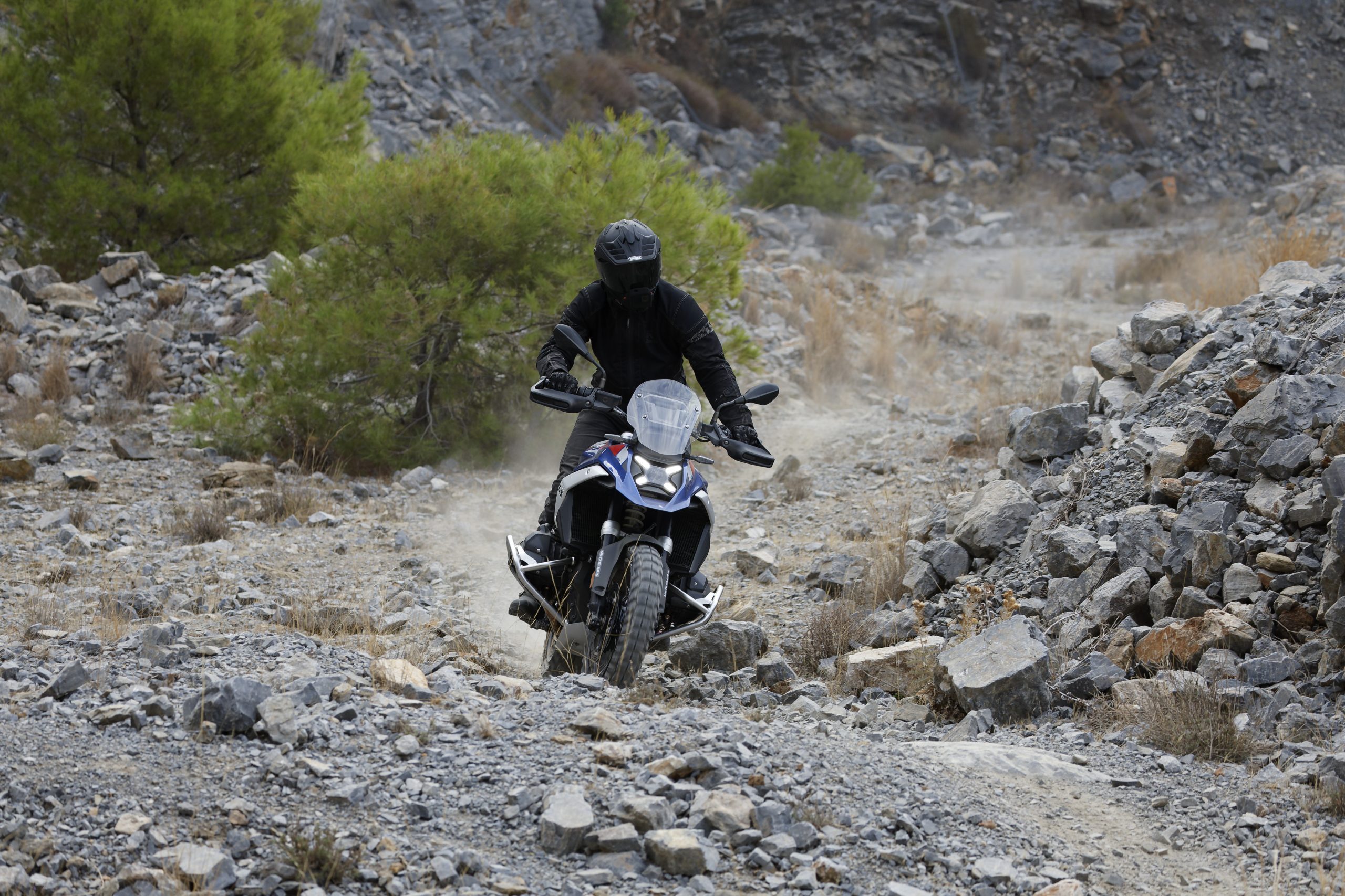 nouvelles immatriculations 2025 BMW