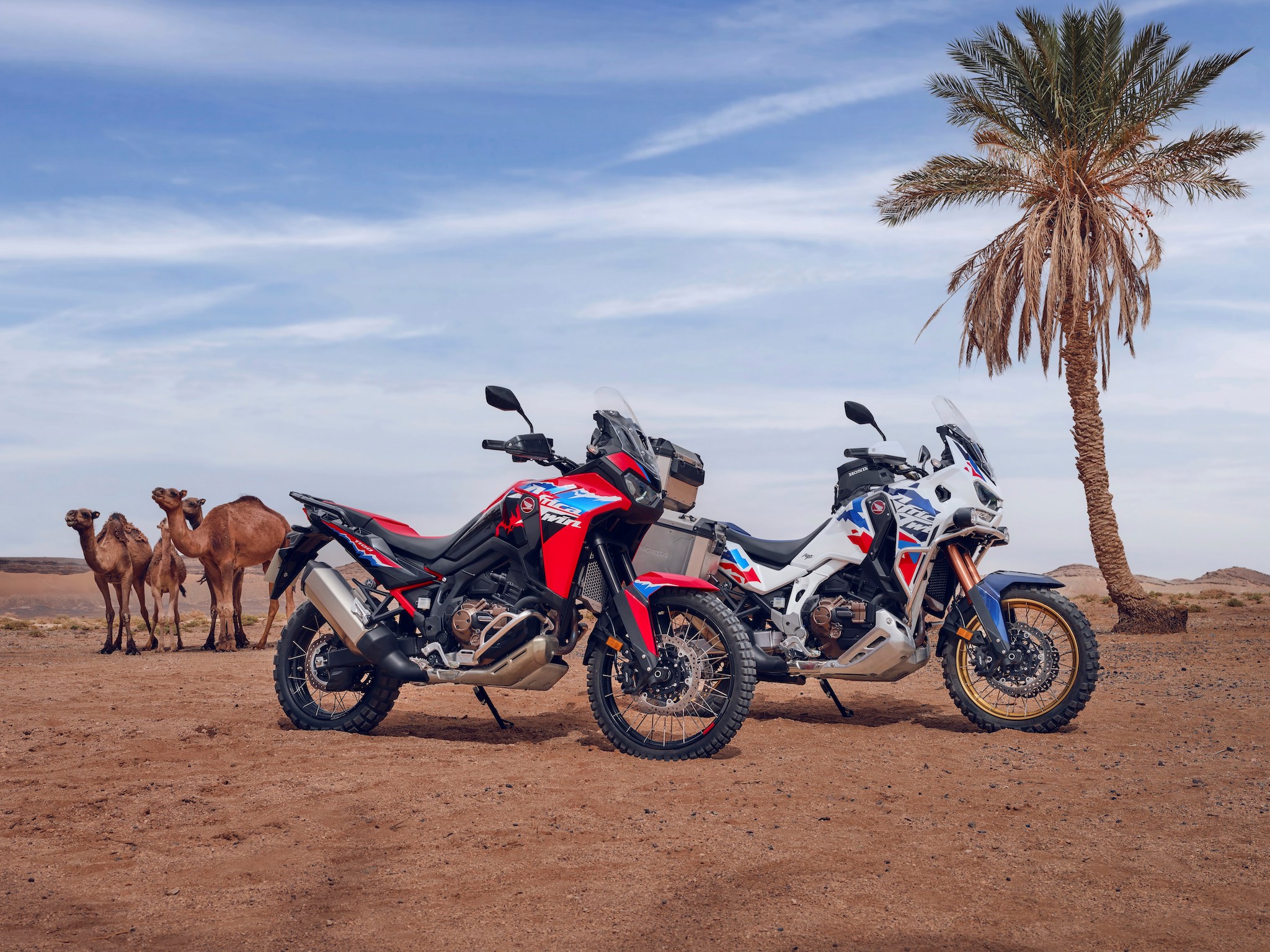 Africa Twin 2024