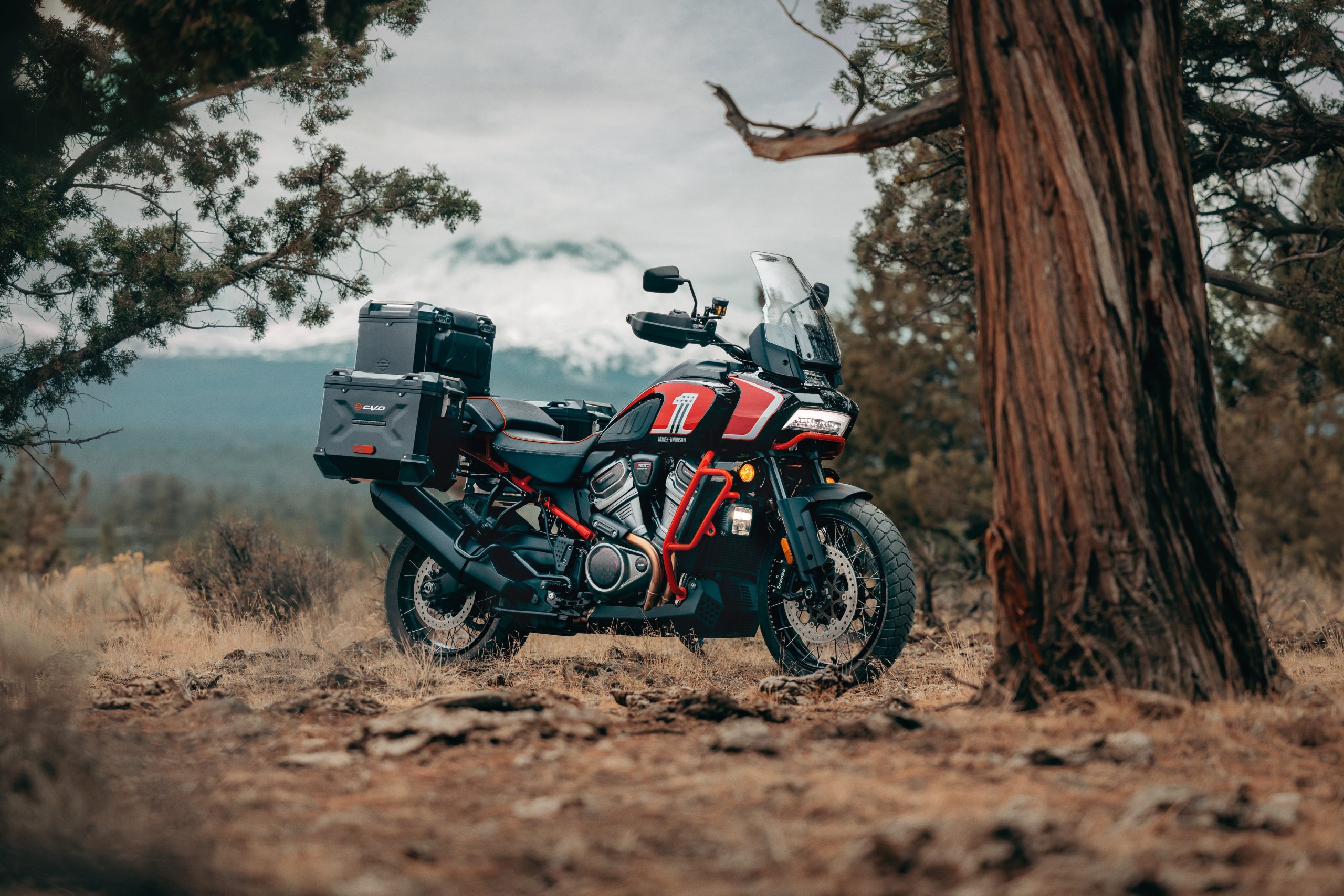 CVO Pan America