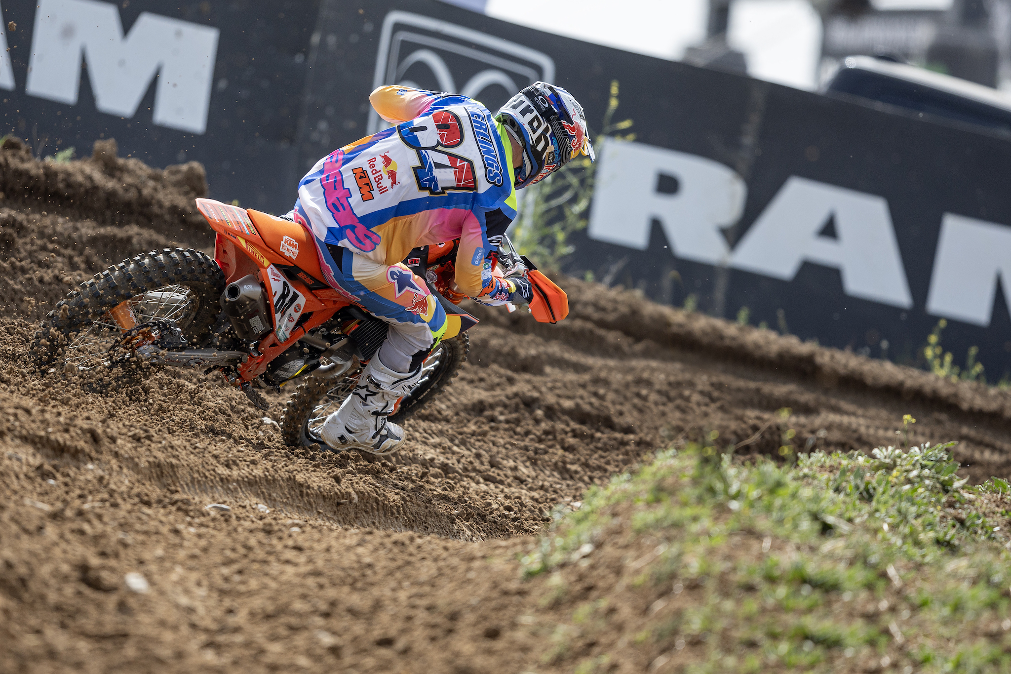 Arroyomolinos Herlings