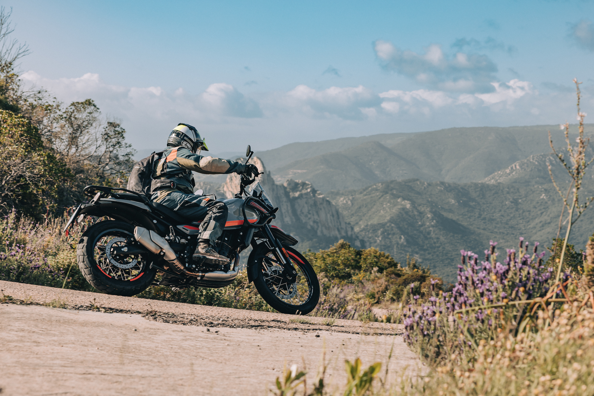 nouvelle Himalayan