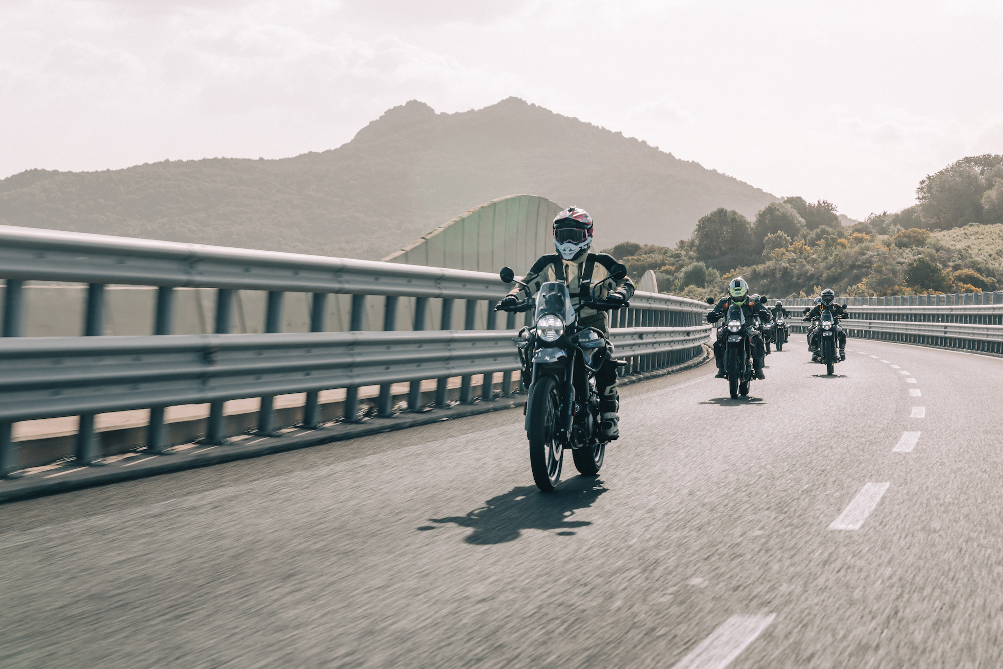 nouvelle Himalayan