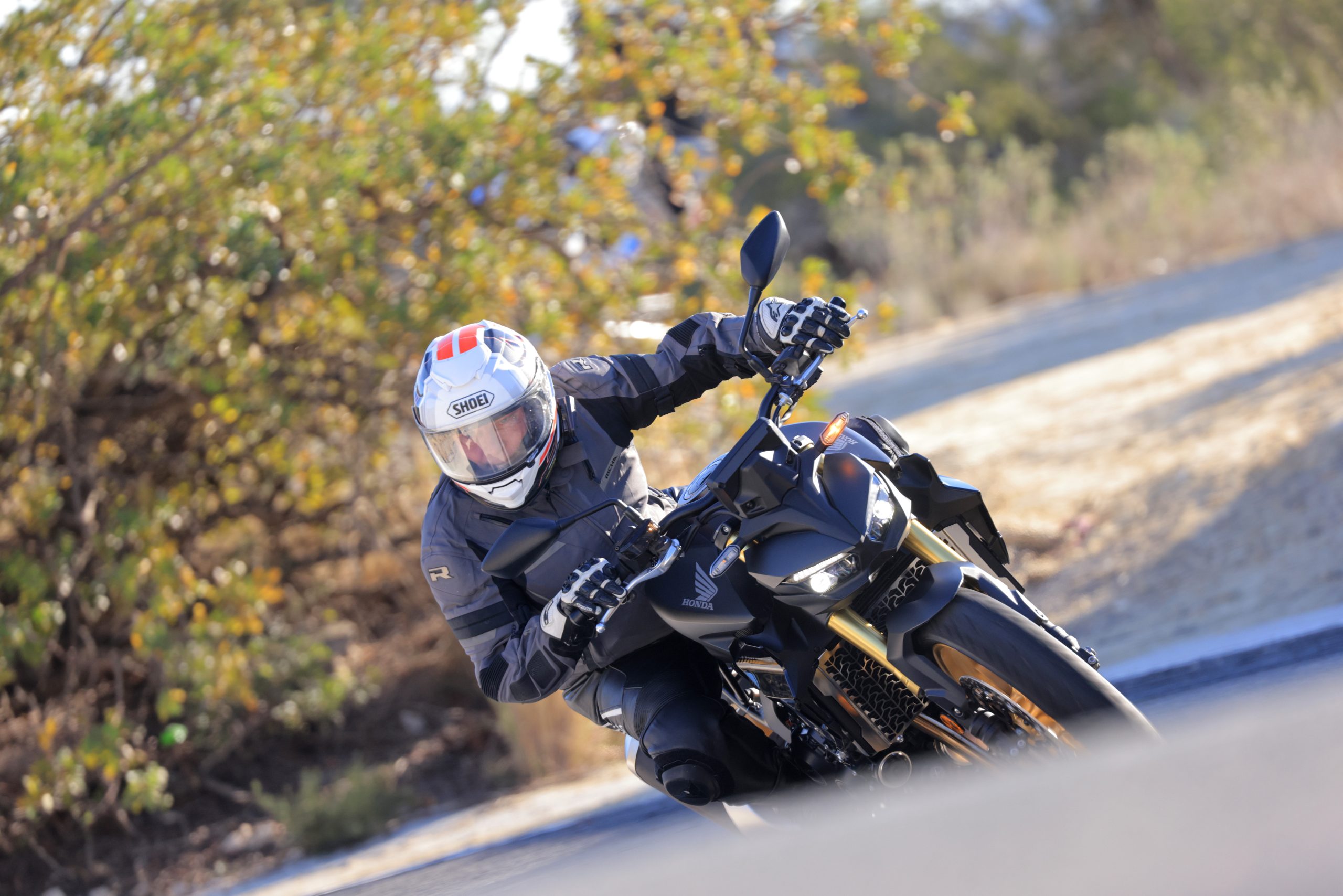 nouvelles immatriculations Honda