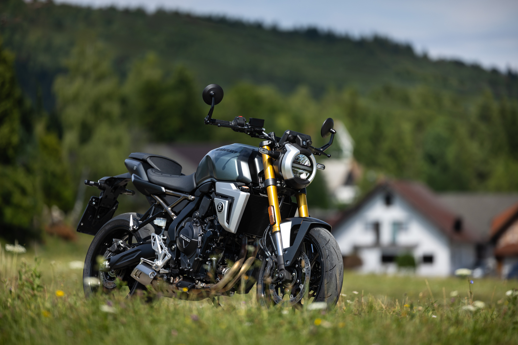 Suzuki GSX-8T et GSX-8TT