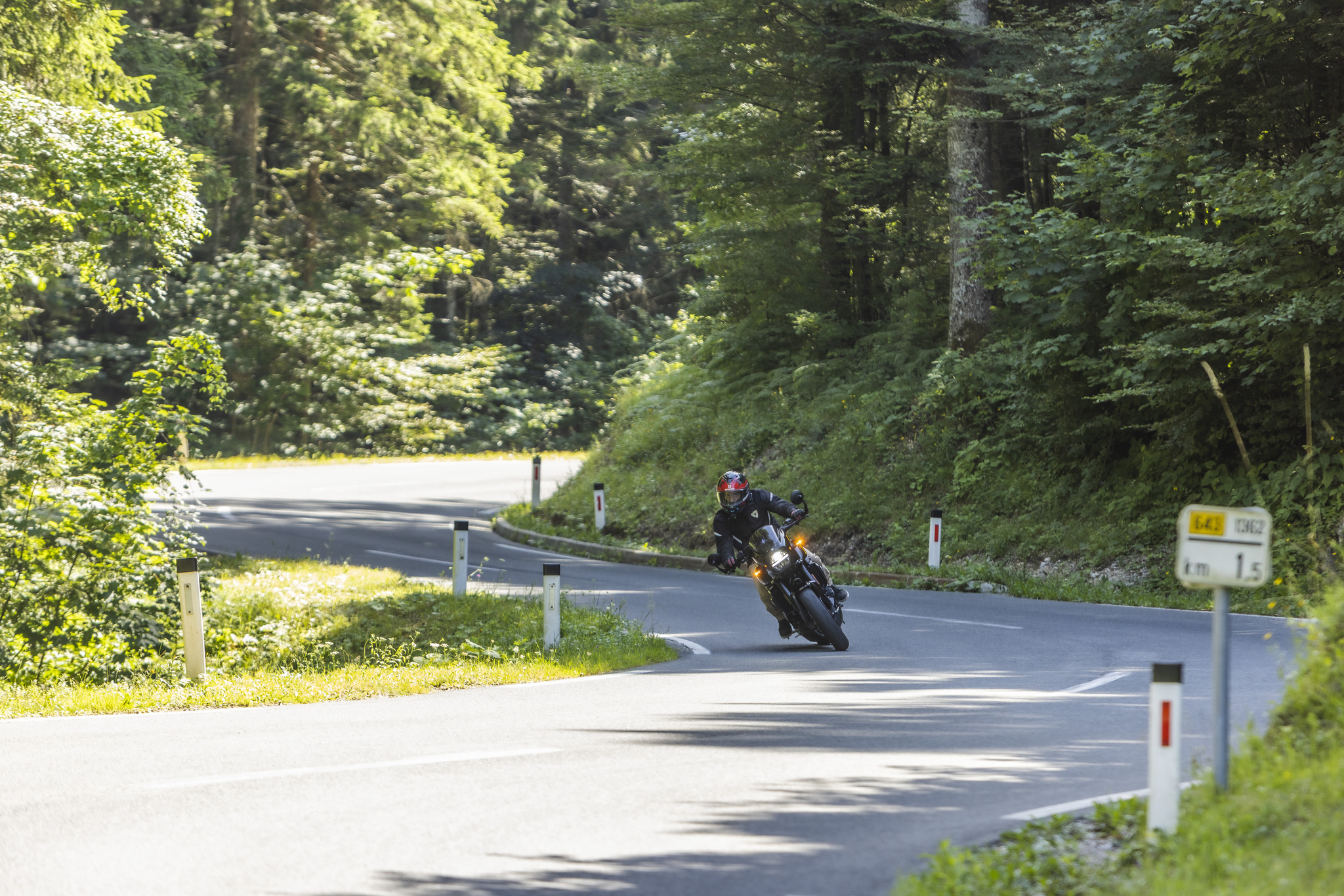 Suzuki GSX-8T et GSX-8TT