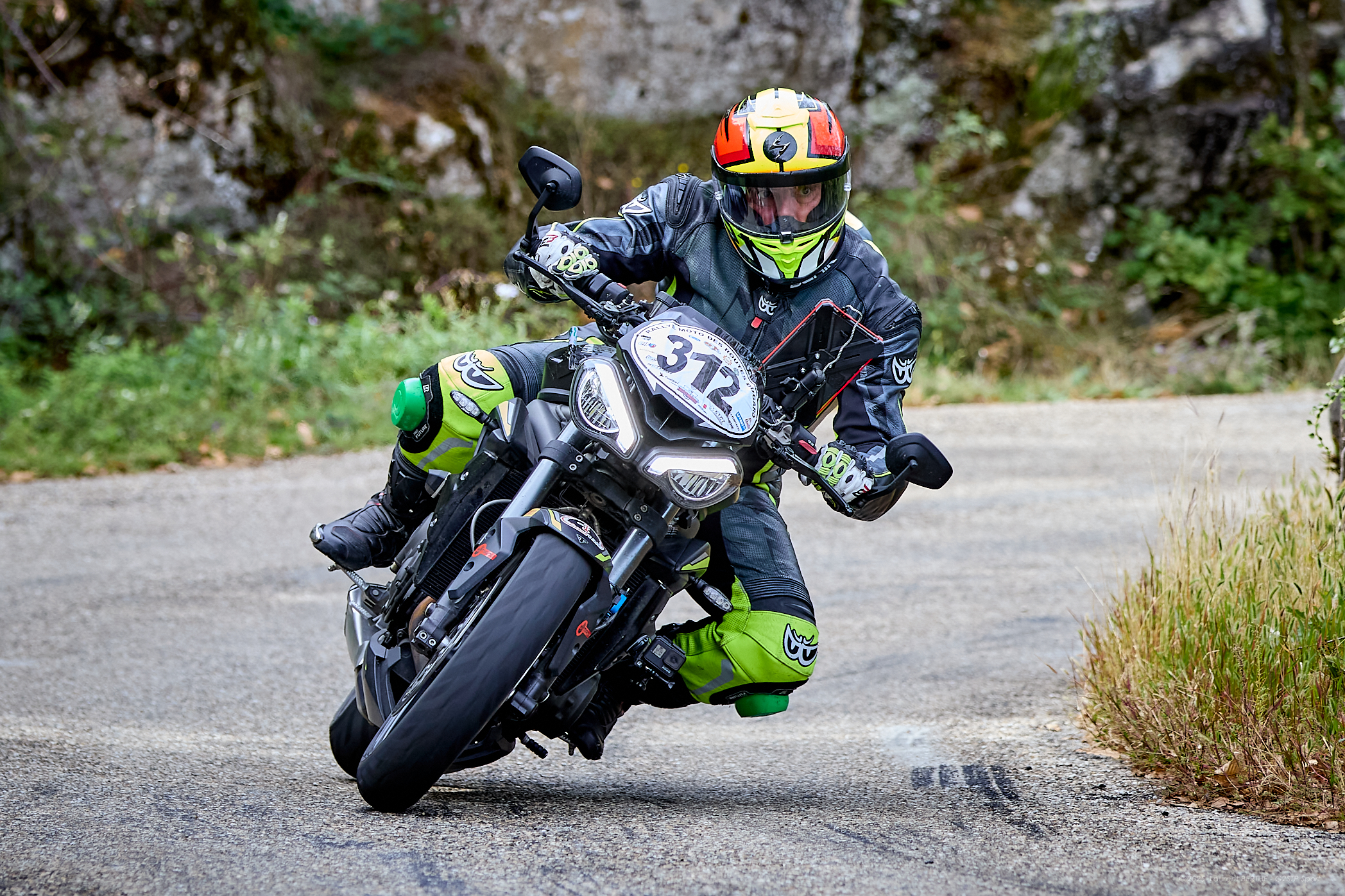 Gard suisse Triumph