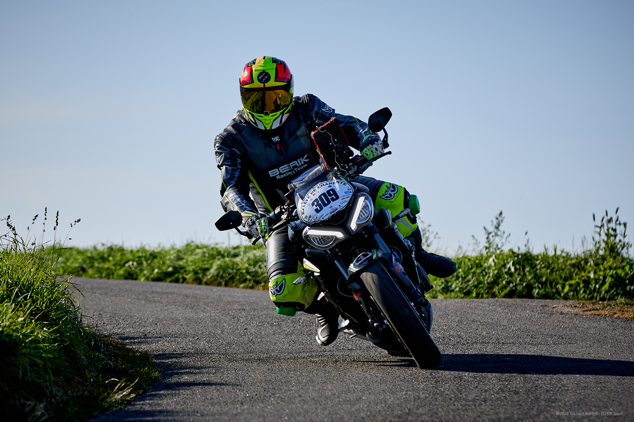 Lovis suisse de Charente