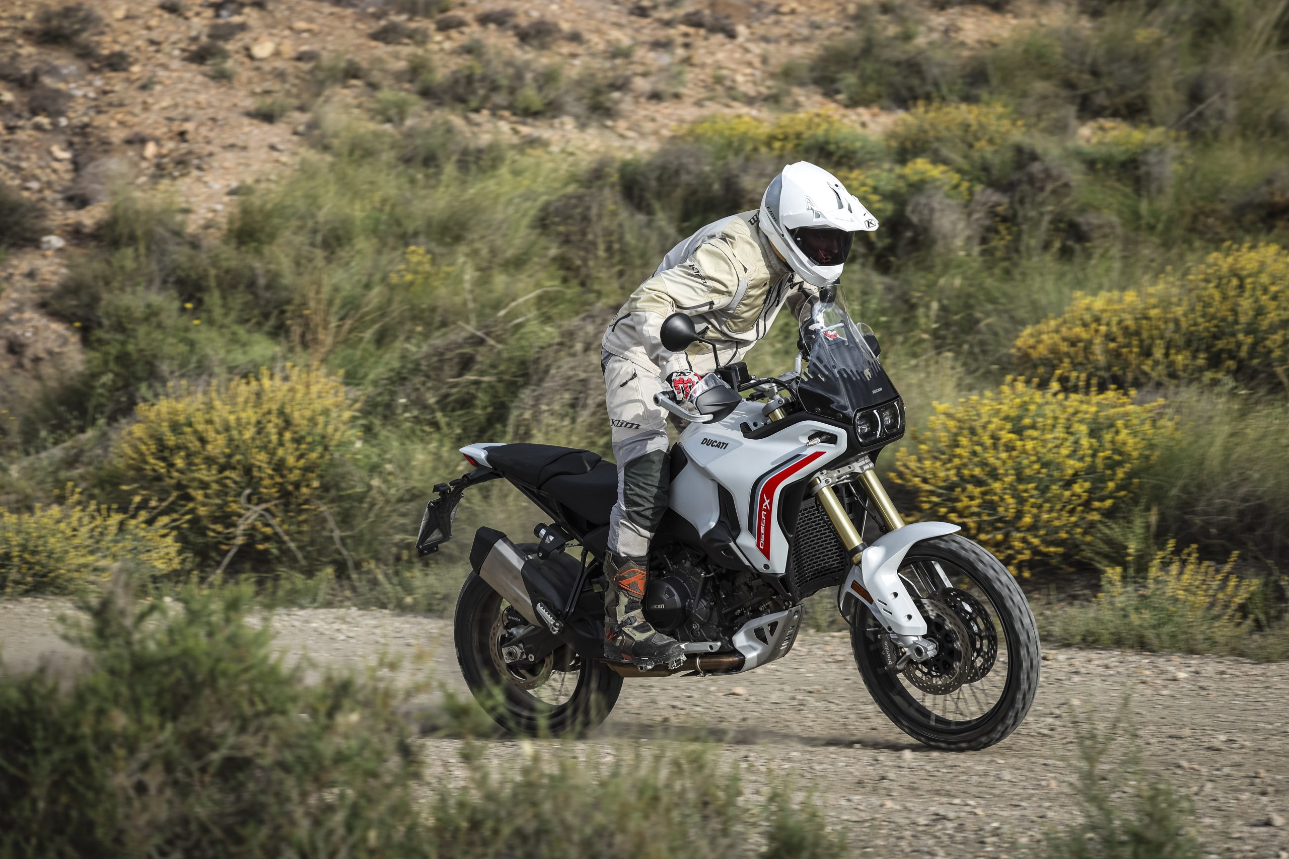 DesertX Ducati