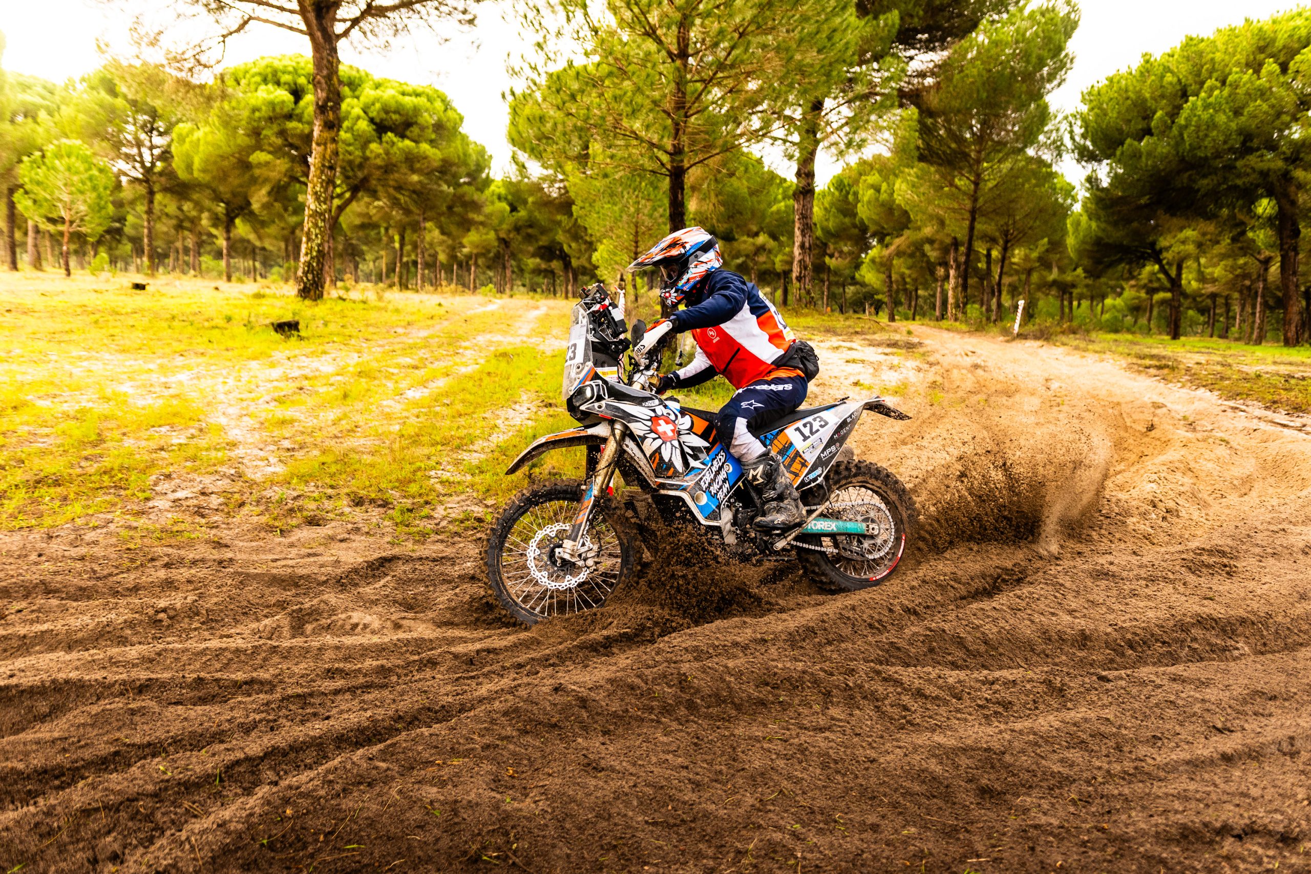 Portugal Edelweiss rallye