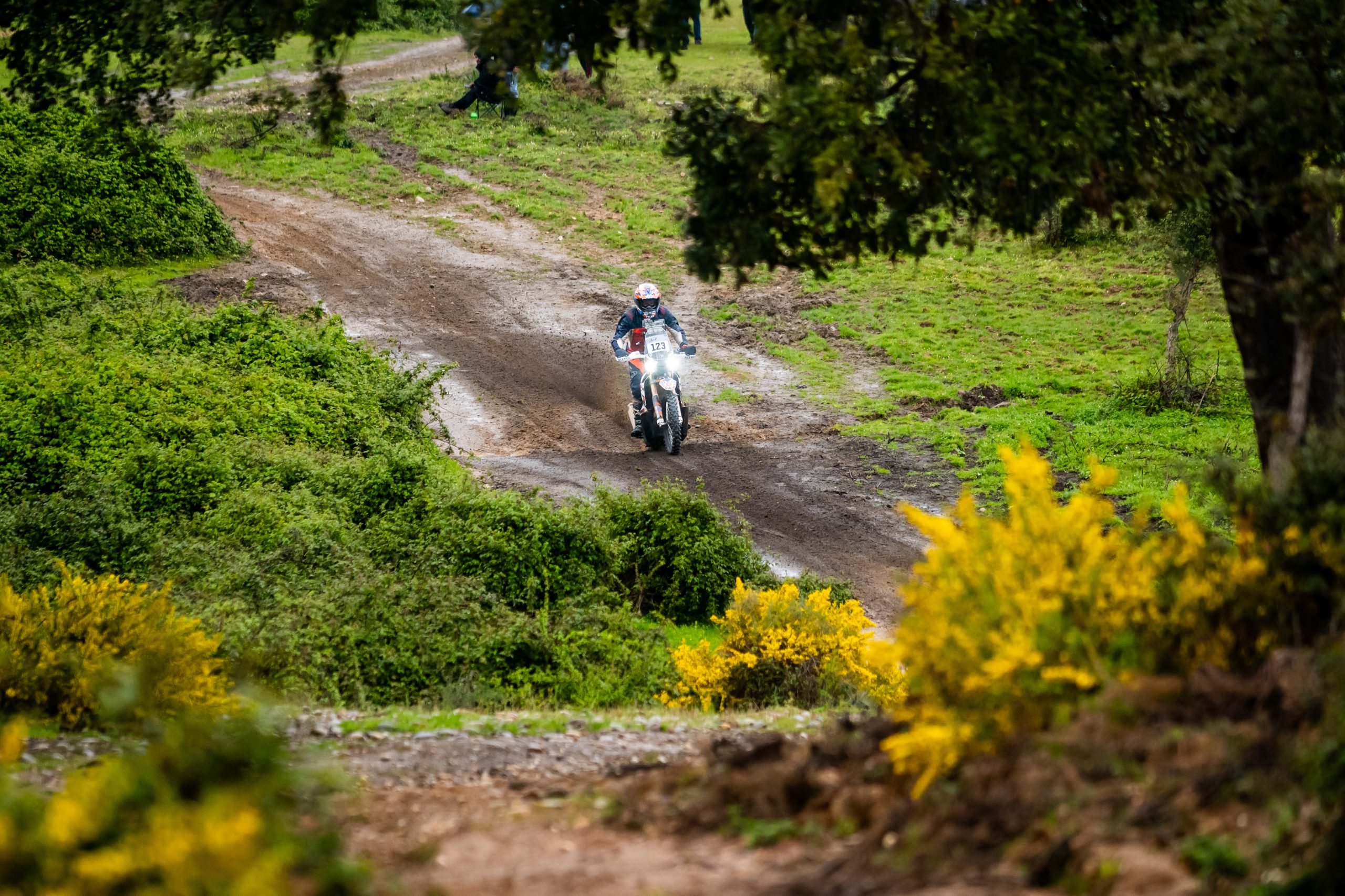 Portugal Edelweiss rallye