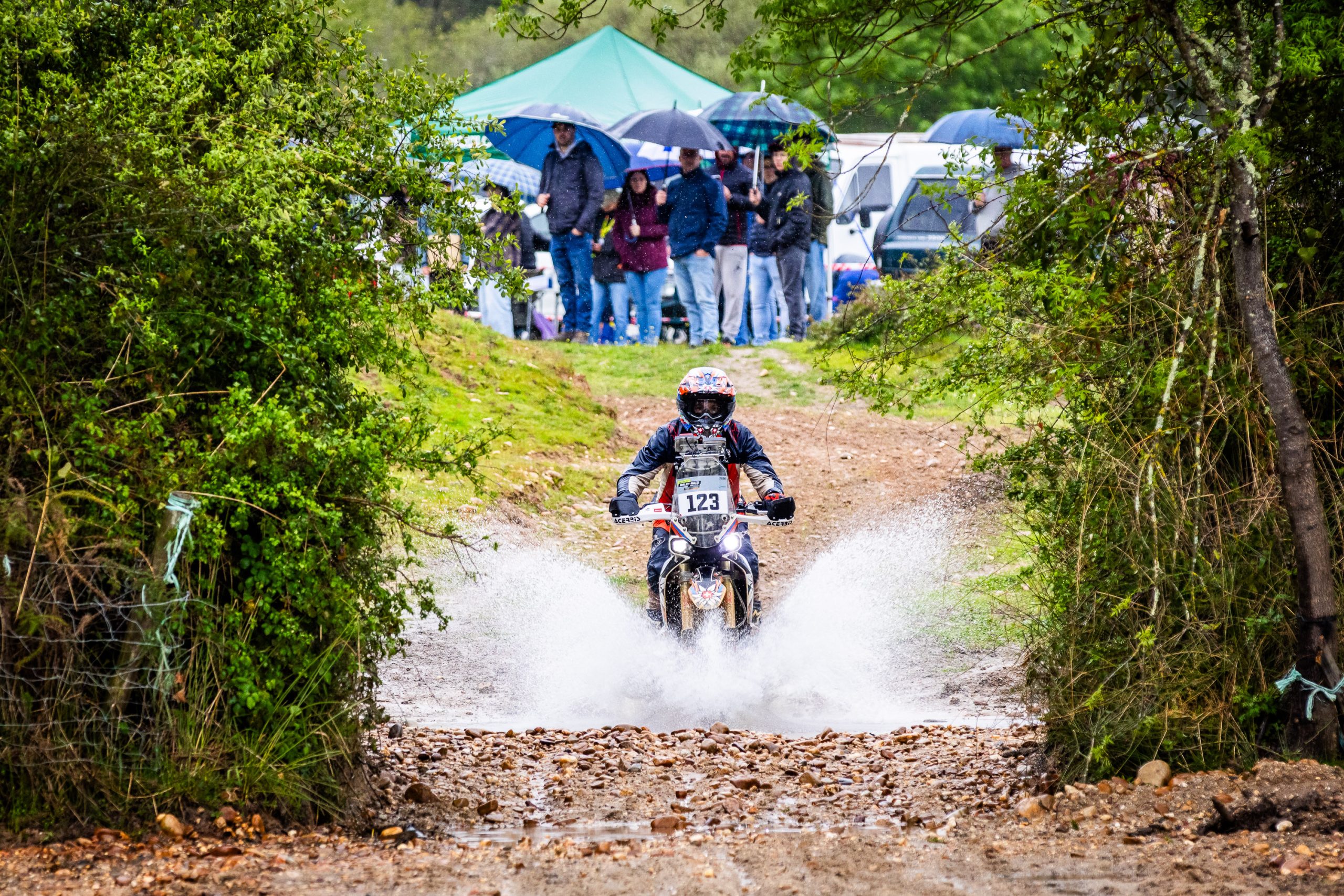 Rallye Portugal Edelweiss