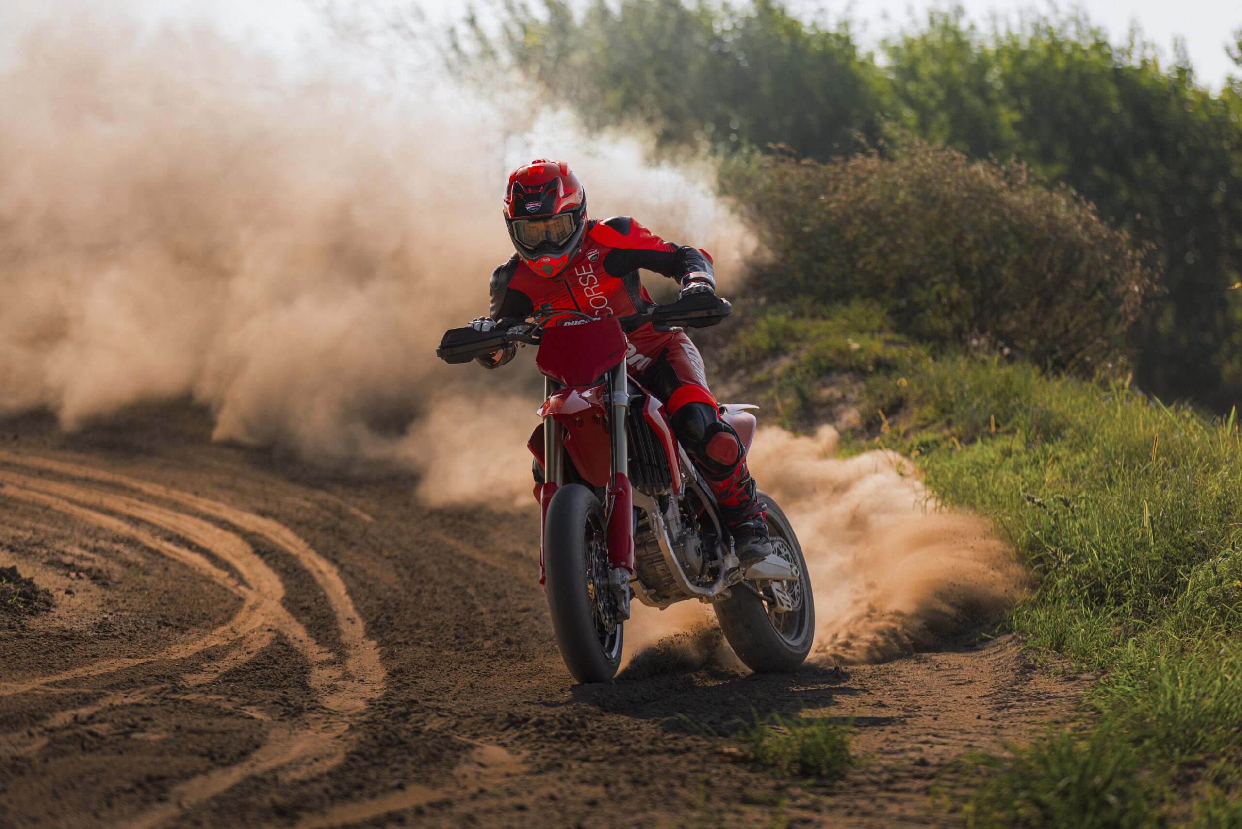 Desmo 450