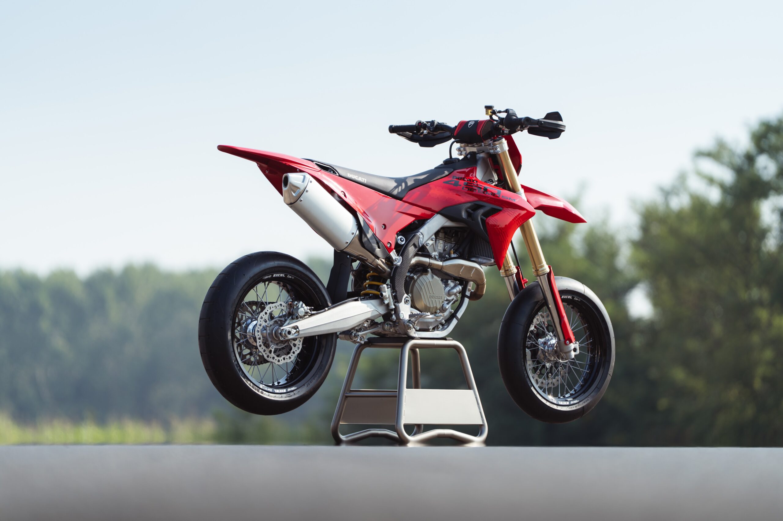 Desmo 450