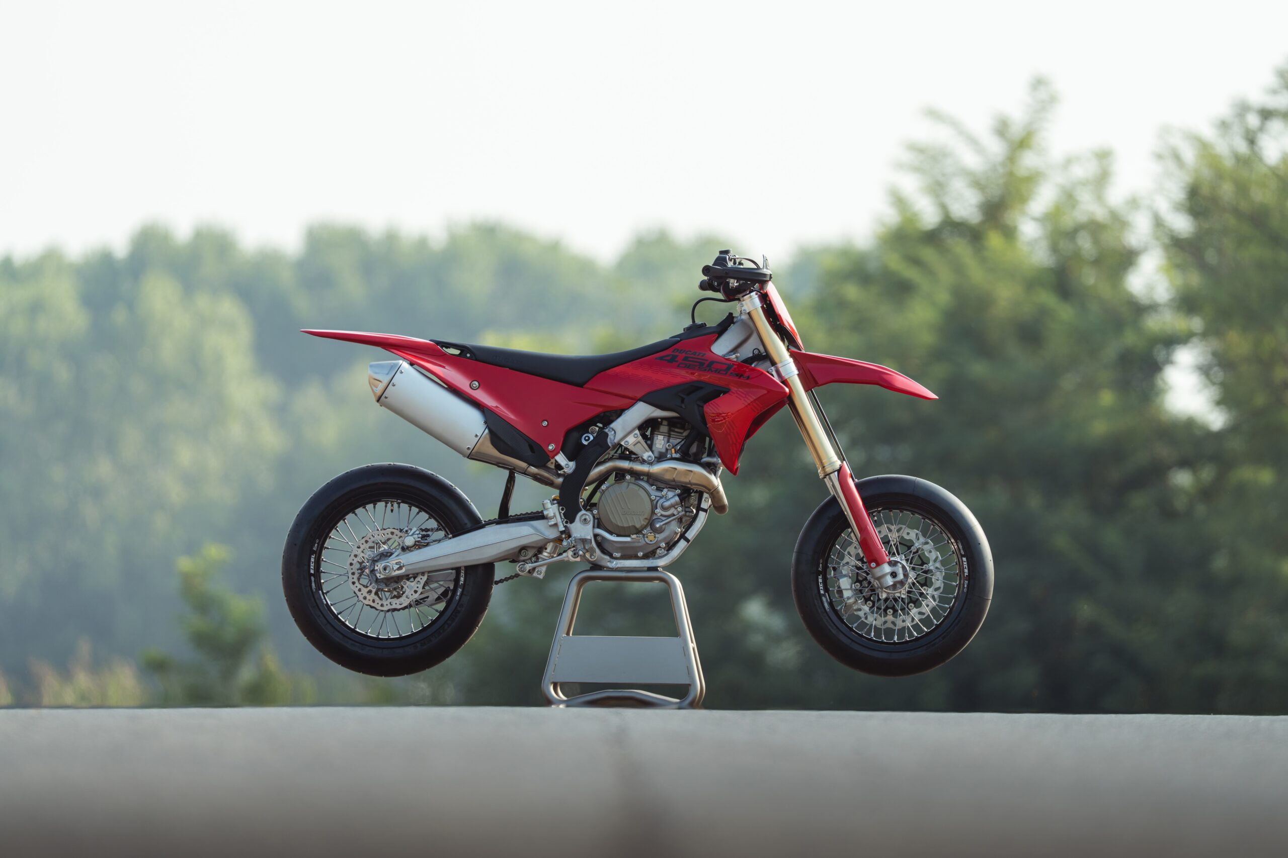 Desmo 450