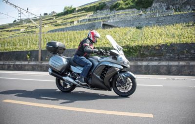 Le grand requin gris de Kawasaki se refait une santé :: Kawasaki