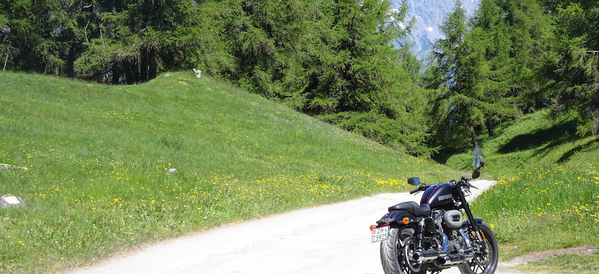 Saute-montagne de Riddes à Saxon en passant par Verbier