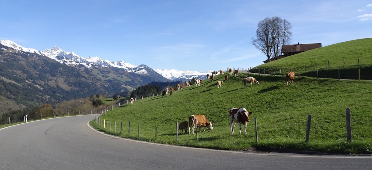 Le col du Jaun, une incursion dans le Simmental