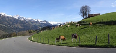 Venez tester une Triumph et découvrir de belles routes avec nous! :: Balade guidée en Suisse romande