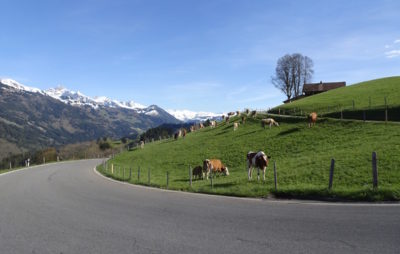 Venez tester une Triumph et découvrir de belles routes avec nous! :: Balade guidée en Suisse romande