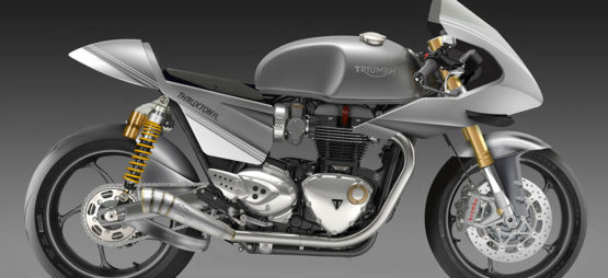 Carl Fogarty au guidon d&rsquo;une « prépa » Thruxton R à Glemseck 101
