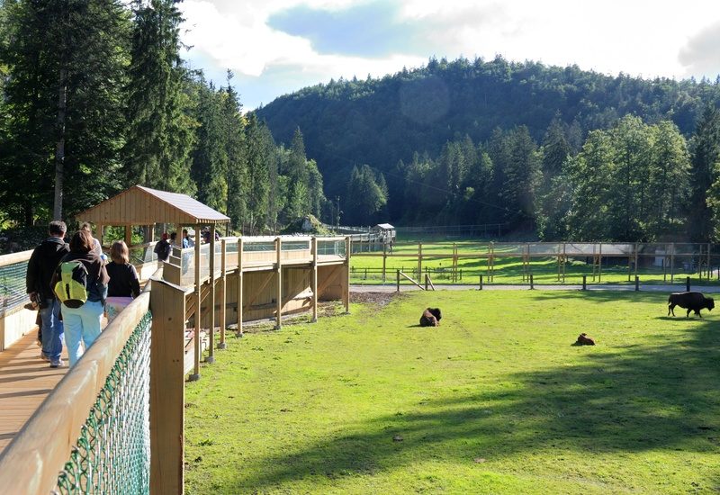 Juraparc
