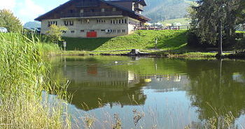 Lac des Joncs