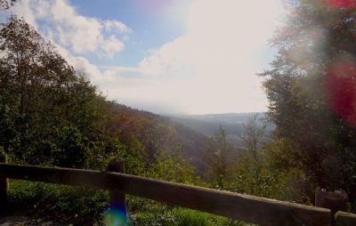 Du lac aux montagnes neuchâteloises :: Jura