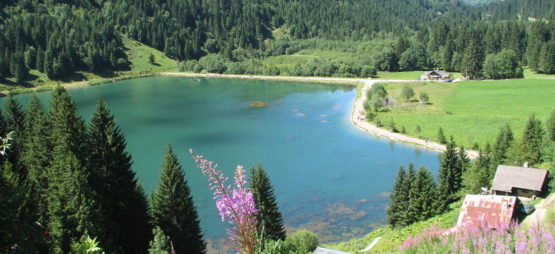 Lac des Plagnes