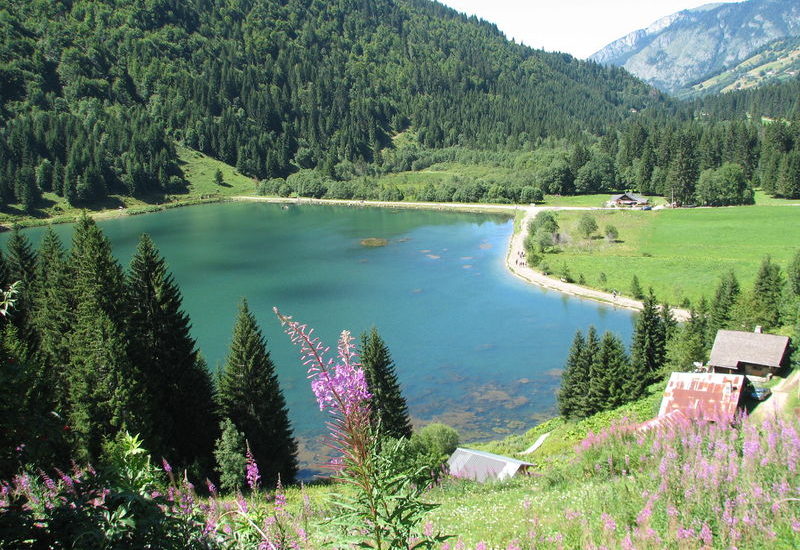 Lac des Plagnes